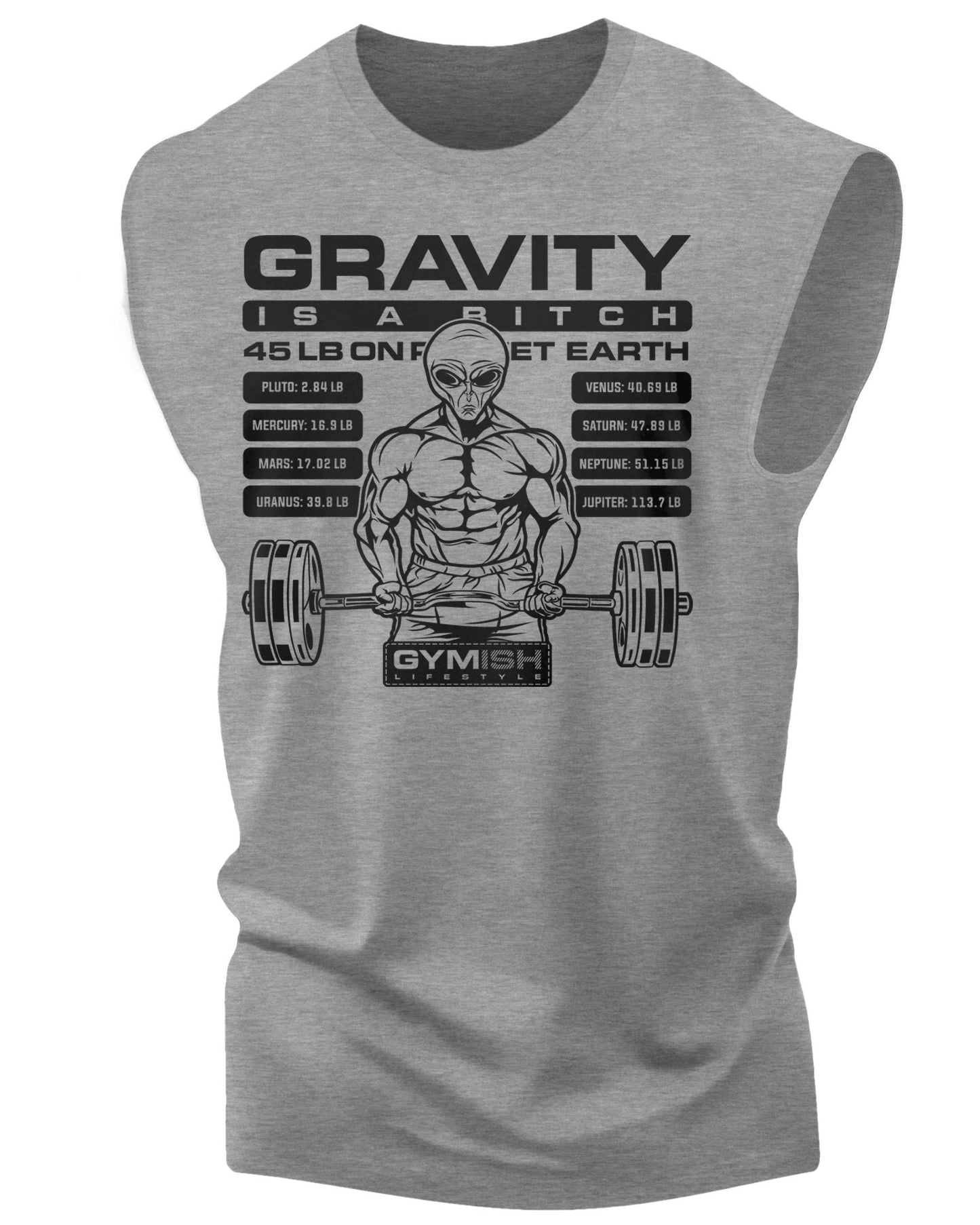 104. Defy Gravity Workout Muscle Tank Top for Men Heather Grey T-Shirt GYMISH LIFESTYLE